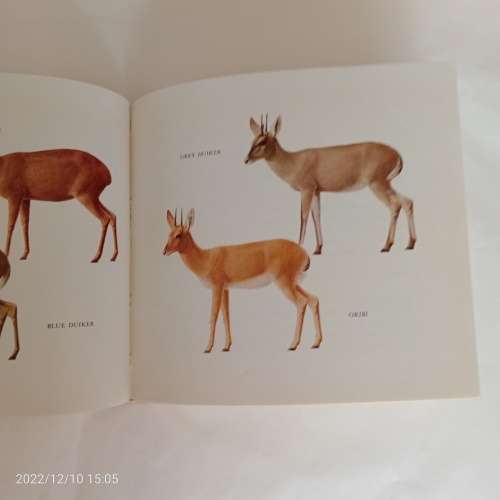 What Antelope Is That? What Bird Is That? Southern Africa Series