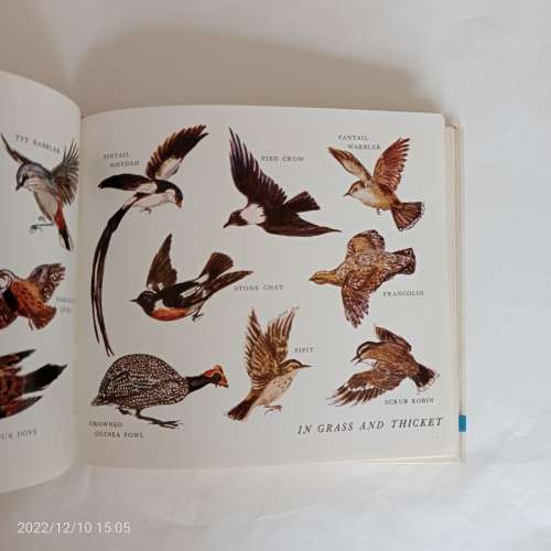 What Antelope Is That? What Bird Is That? Southern Africa Series