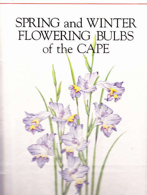 Spring and Winter Flowering Bulbs of the Cape  - By Jeppe, Barbara