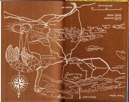 Ostrich Country by Fay Goldie