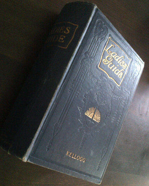 Ladies' Guide to Health and Disease-Childhood, Maidenhood, Wifehood, Motherhood (J H Kellogg)