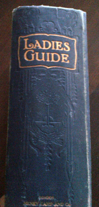 Ladies' Guide to Health and Disease-Childhood, Maidenhood, Wifehood, Motherhood (J H Kellogg)