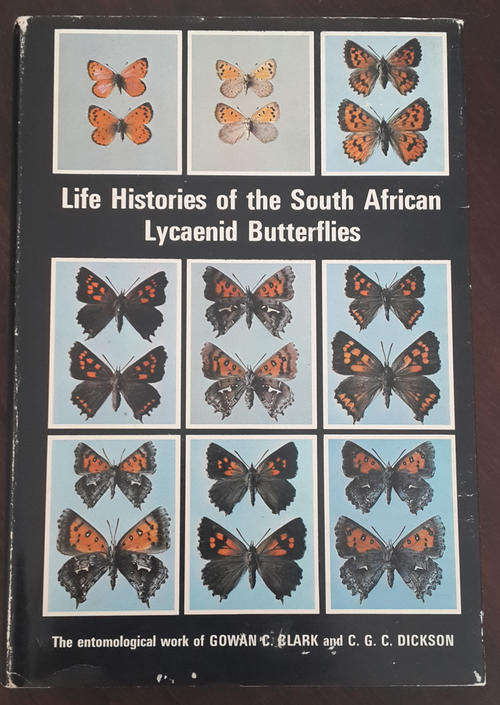 Life histories of the South African Lycaenid butterflies  (Clark , Gowan C C. G. C Dickson)
