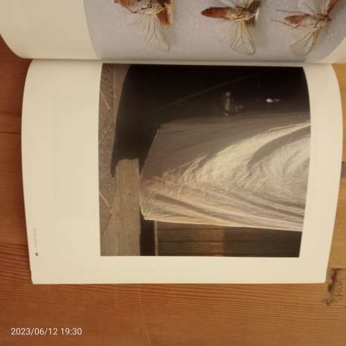 SALE! Taxi 005 - Lien Botha