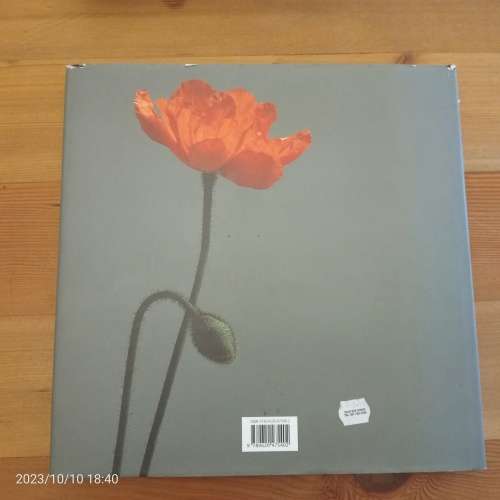 *SALE* In Still Light - Marc Stanes (Signed)