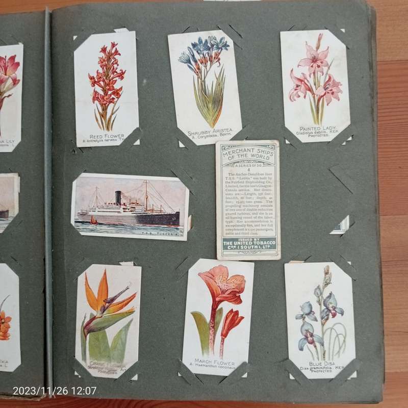 *SALE* 600 Cigarette Pictures