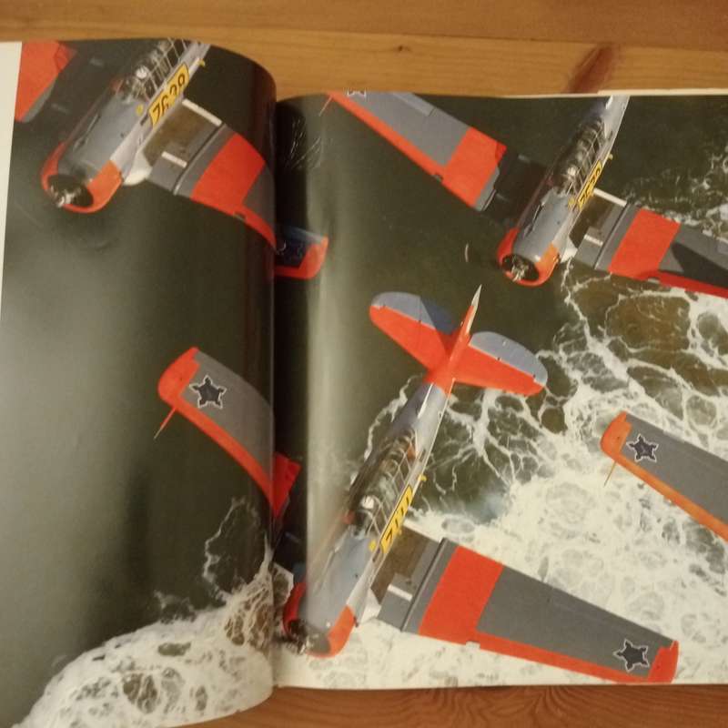 More than Game: A Salute to the South African Air Force