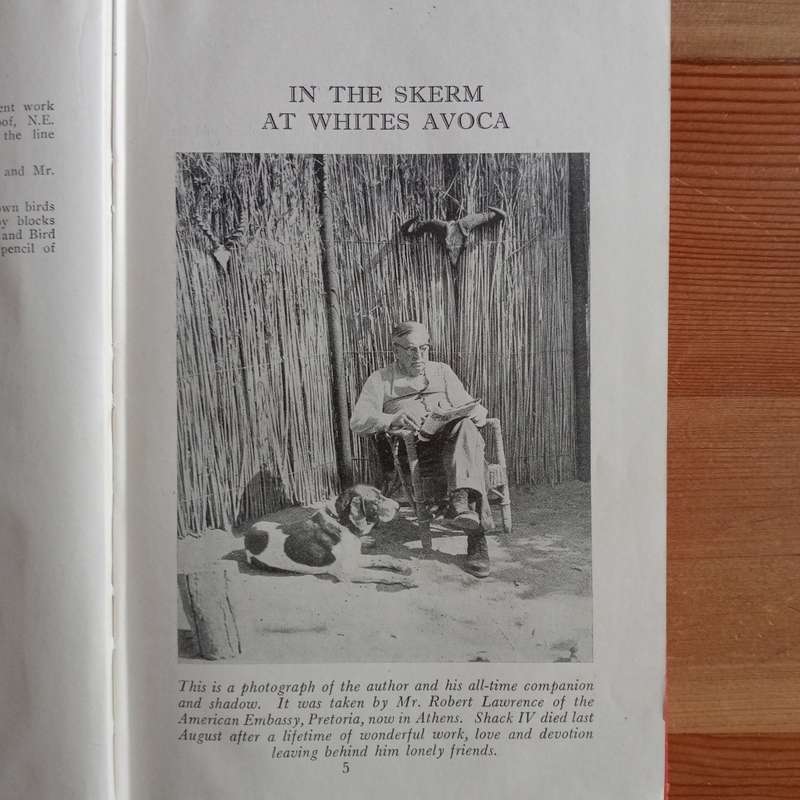 CLEARANCE! Call Of The Bushveld - A. C. White