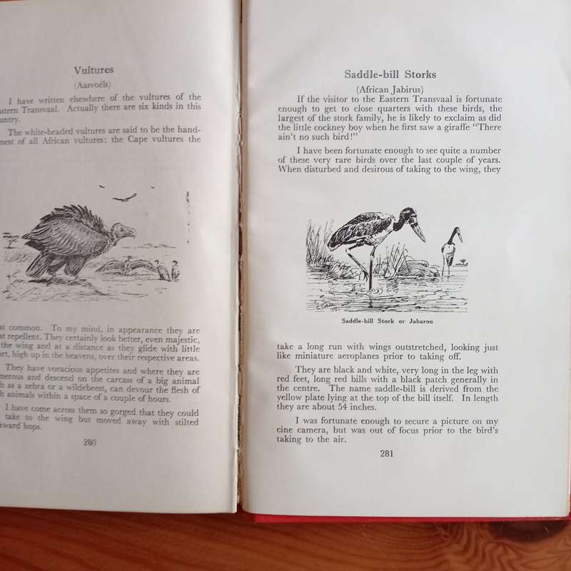 CLEARANCE! Call Of The Bushveld - A. C. White