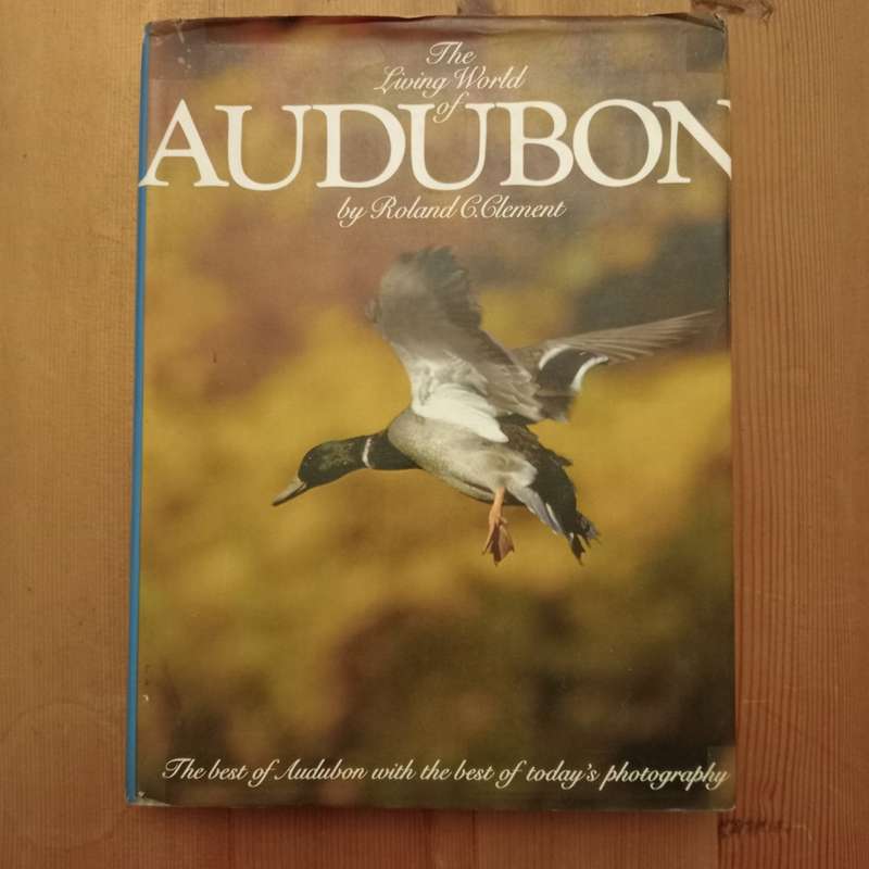 CLEARANCE! The Living World of Audubon - Roland C Clement