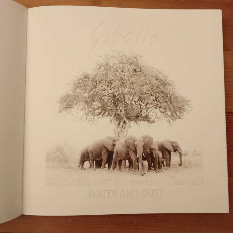 Water and Dust - Caroline Gibello