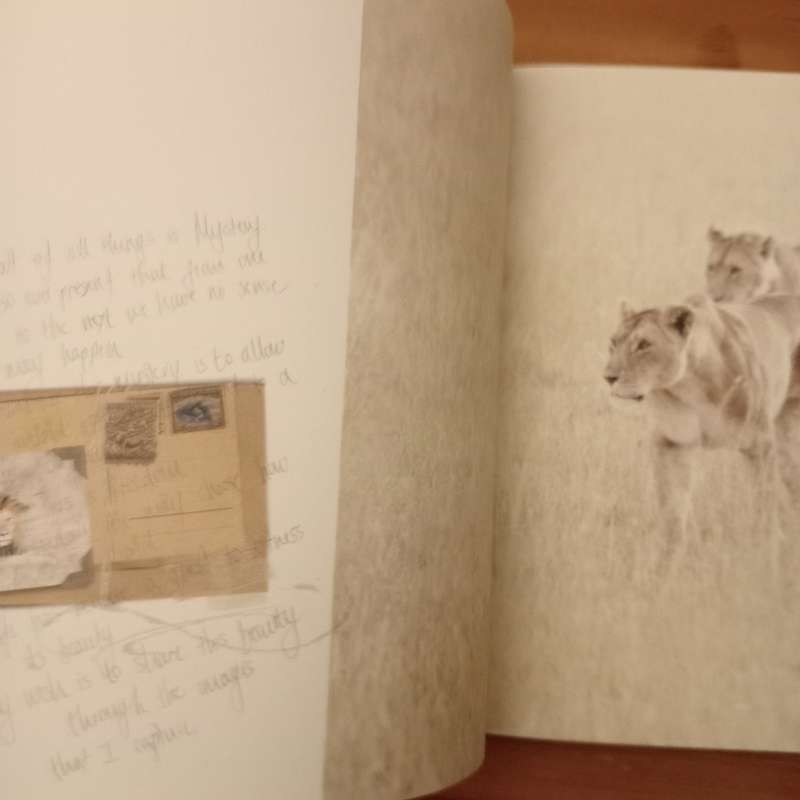 Water and Dust - Caroline Gibello