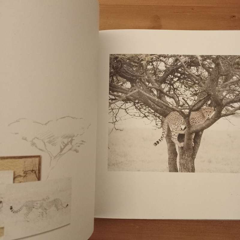 Water and Dust - Caroline Gibello