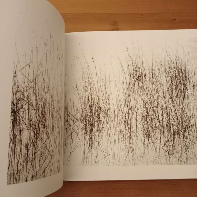 Water and Dust - Caroline Gibello