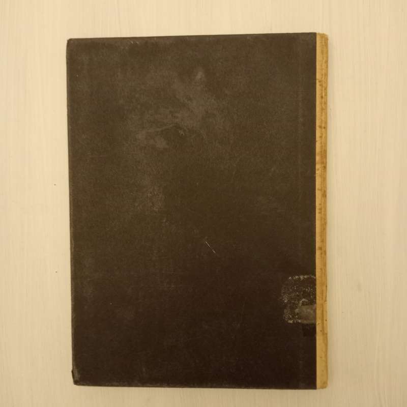 Suid-Afrikaanse Kunstenaars: Deel 1 - Anton van Wouw  M.L. Du Toit