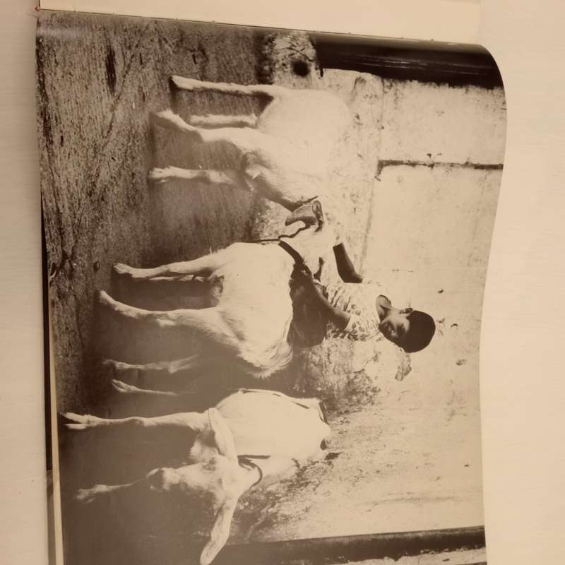 Images of My World - John Brett Cohen