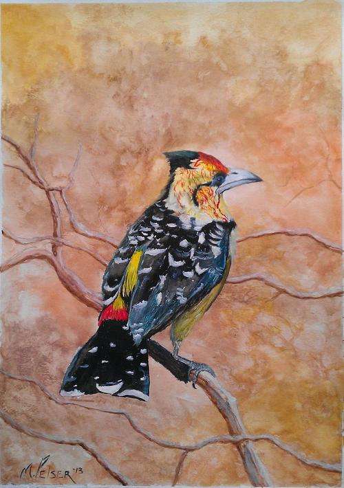 INVESTMENT ARTWORK - Original Mario Pelser (1976-) "Kingfisher" 296mm x 420mm (A3)