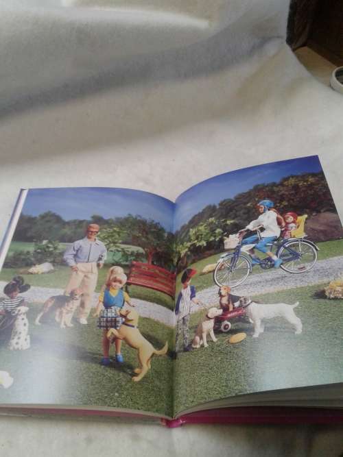 2 X BARBIE HARDCOVER STORY BOOKS WITH PICTURE ILLUSTRATIONS, ONE BID