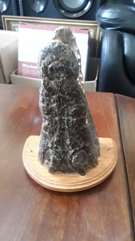 GENUINE CROCODILE HEAD ON STAND(PRESERVED)