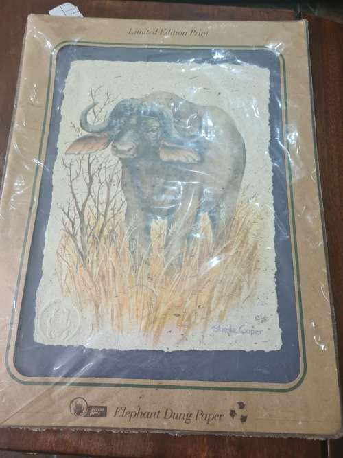 LIMITED EDITION PRINT(BUFFALO)ELEPHANT DUNG PAPER SIGNED SHEILA COOPER