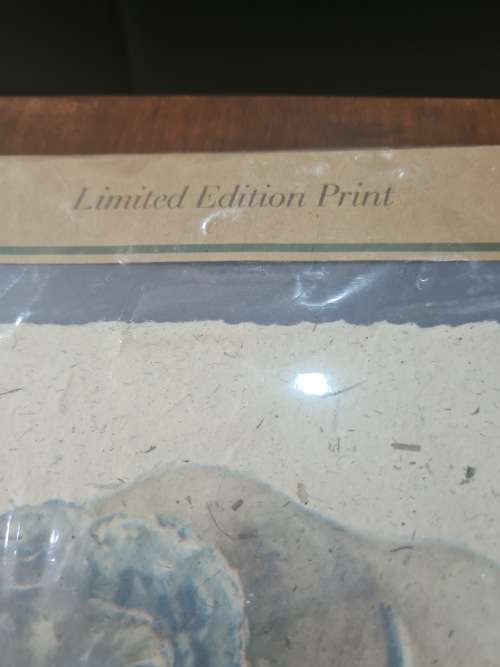 LIMITED EDITION PRINT(BUFFALO)ELEPHANT DUNG PAPER SIGNED SHEILA COOPER