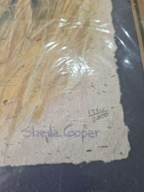 LIMITED EDITION PRINT(BUFFALO)ELEPHANT DUNG PAPER SIGNED SHEILA COOPER