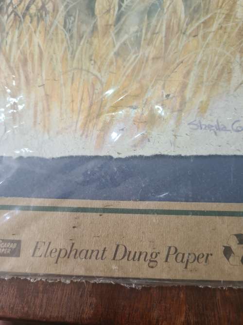 LIMITED EDITION PRINT(BUFFALO)ELEPHANT DUNG PAPER SIGNED SHEILA COOPER