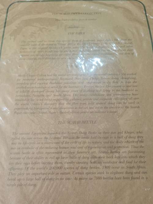 LIMITED EDITION PRINT(BUFFALO)ELEPHANT DUNG PAPER SIGNED SHEILA COOPER