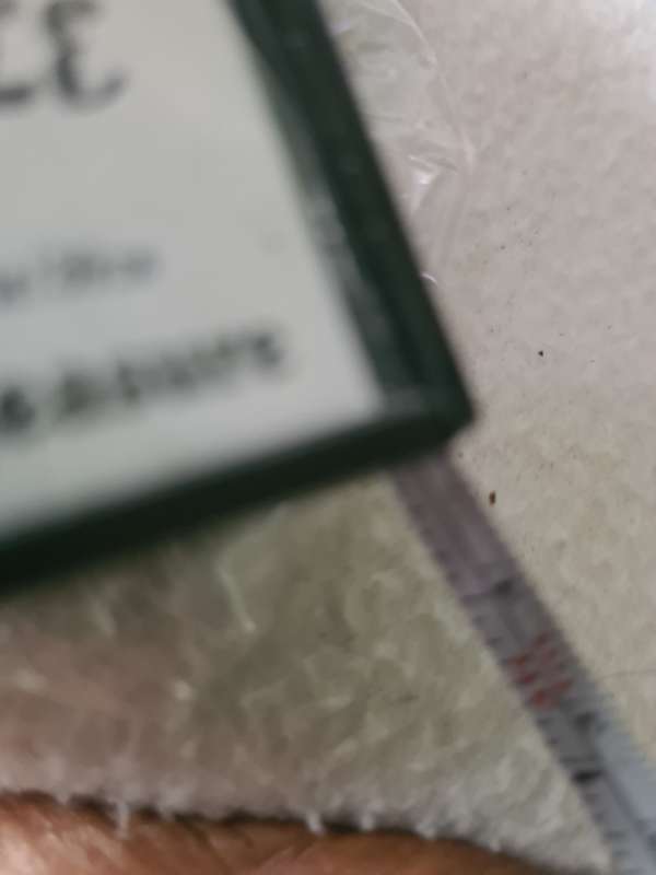 2 IN ONE SCALE AND TAPE MEASURE