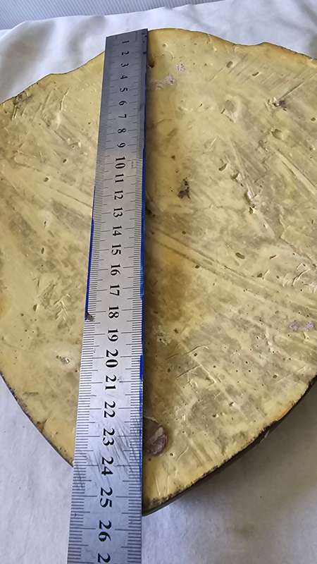 RICHELIEU BAR SIGN(WOODEN LOOK)