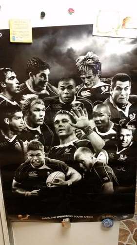 OFFICIAL SPRINGBOK COLLECTORS  POSTERS-SEE DESCRIPTION