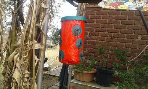 9 DIVISION PLANT HANGER (GOOD FOR SEEDLINGS)SEE DESCRIPTION