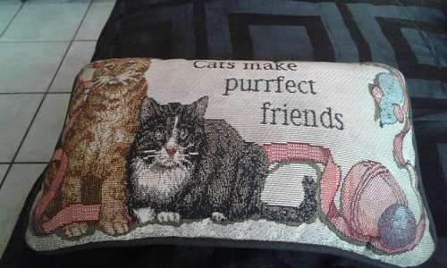 VINTAGE CATS MAKE PURRFECT FRIENDS CUSHION