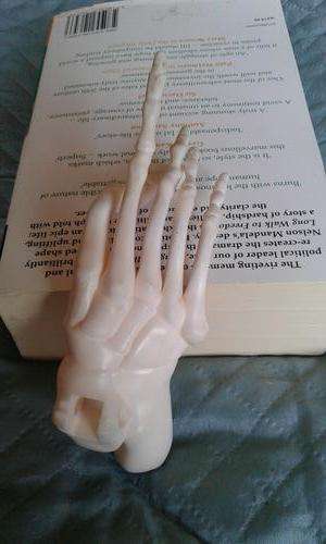 COLLECTORS HAND SKELETON