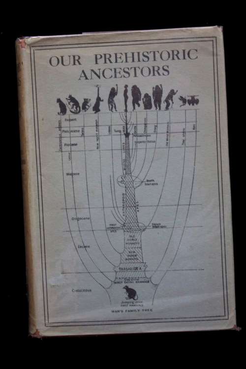 Our Prehistoric Ancestors by Dorothy Davison