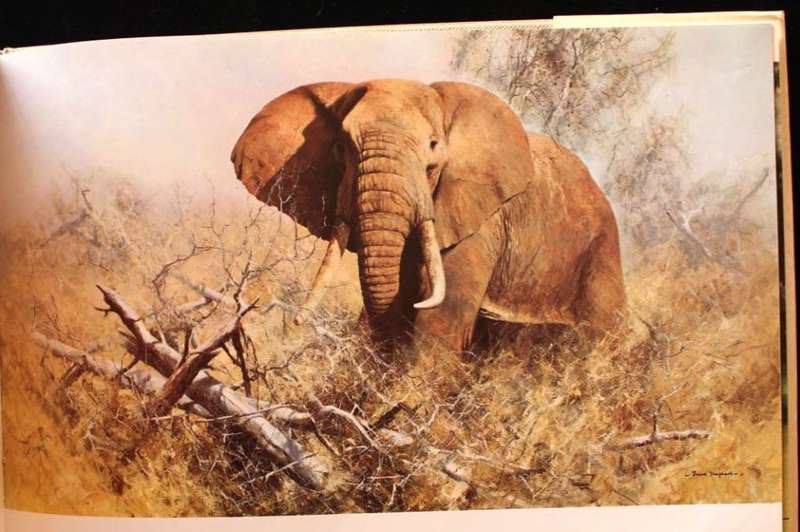 AN ARTIST IN AFRICA - DAVID SHEPHERD