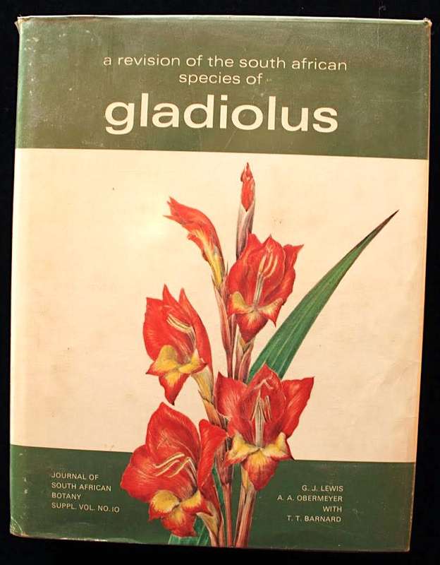 South African Species GLADIOLUS