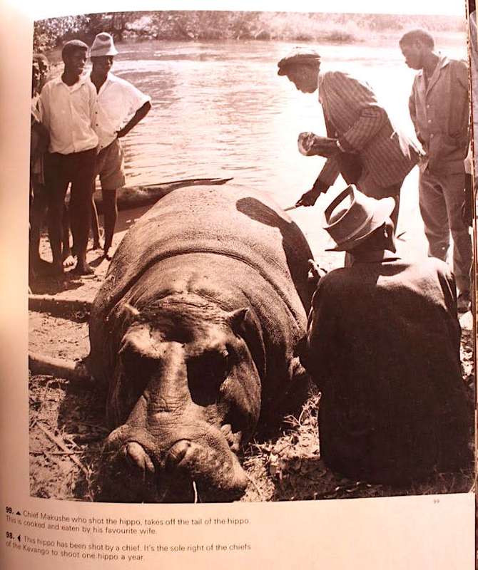 KAVANGO - SOUTH WEST AFRICA BY ALICE MERTENS