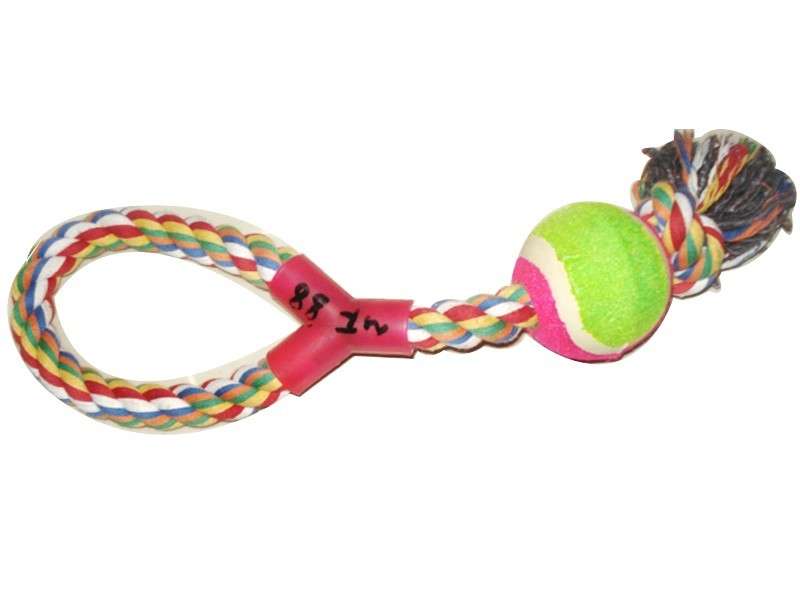 Y style throwing ball for dogs
