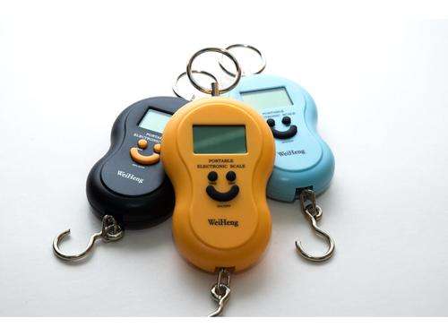 Portable Electric Scale