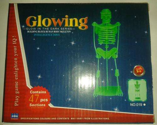 Glow in the Dark Skeleton - 47 piece