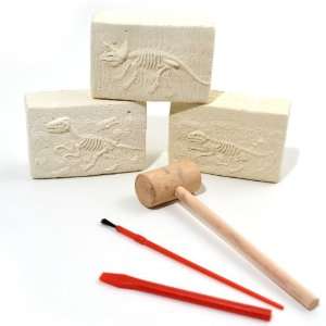 Dinosaur Excavation Fossil Set