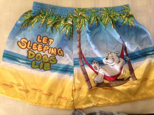 Satin Boxer shorts