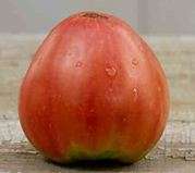 Tomato seeds Cour Di Bue - Heirloom - Very rare!!