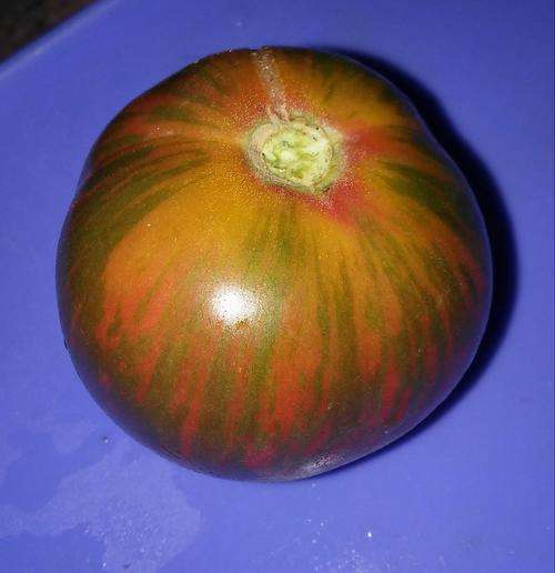Tomato seeds Pink Boar 10 seeds - Extremely rare - New!