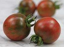 Tomato seeds Violet Jasper 10 seeds - Extremely rare - New!