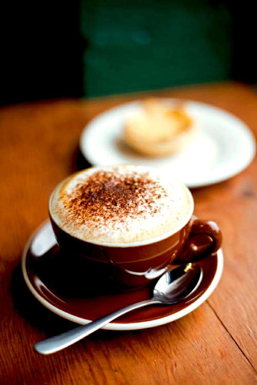 Gourmet Hot Cocoa - Organo Gold