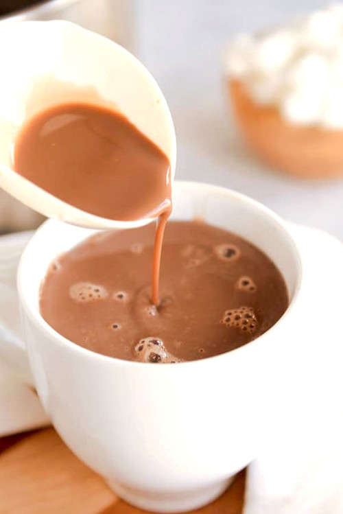Gourmet Hot Cocoa - Organo Gold