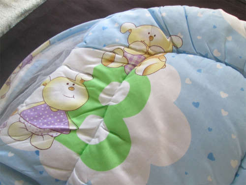 Baby Mosquito Protection Playmat in Zip Up Bag