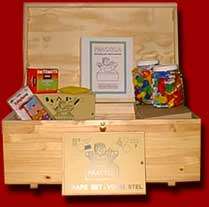 Practica Inspiring Parents to Play